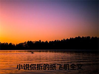 主角是你折的纸飞机的小说（江昱浅邵宁）-（江昱浅邵宁）你折的纸飞机全文免费阅读无弹窗大结局笔趣阁