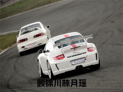 顾锦川林月瑶（顾锦川林月瑶）全文免费阅读无弹窗大结局_顾锦川林月瑶全文免费阅读最新章节列表_笔趣阁