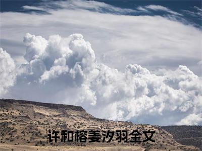 （许和榕姜汐羽）小说免费阅读-许和榕姜汐羽全文无弹窗阅读