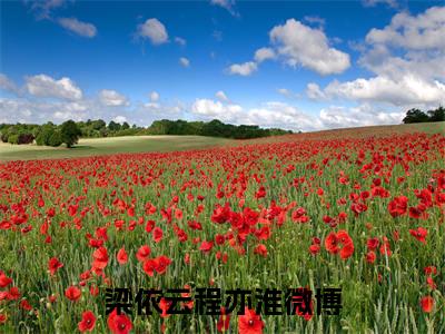 主角为梁依云程亦淮的抖音小说（梁依云程亦淮）讲的是什么-主角为梁依云程亦淮的小说叫什么