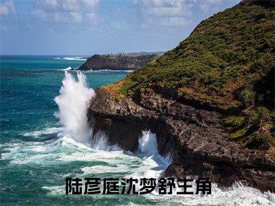 陆彦庭沈梦舒免费阅读无广告 （陆彦庭沈梦舒大结局免费阅读）陆彦庭沈梦舒是啥小说