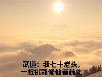 武道：我七十老头，一枪挑翻修仙者林北小说(武道：我七十老头，一枪挑翻修仙者林北)免费阅读无弹窗，小说名字是：武道：我七十老头，一枪挑翻修仙者林北的小说在线阅读无删减