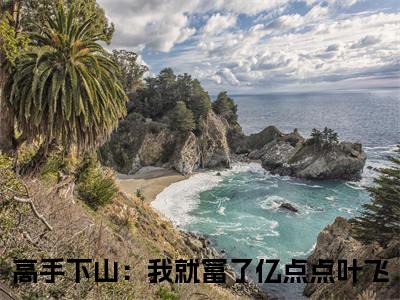 高手下山：我就富了亿点点叶飞（高手下山：我就富了亿点点叶飞）小说全文在线阅读_高手下山：我就富了亿点点叶飞最新章节在线阅读_笔趣阁