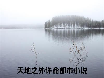 天地之外许命小说全文(天地之外许命)全文免费阅读无弹窗大结局_ 天地之外许命全文免费阅读最新章节列表