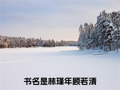 林瑾年顾若清正版阅读小说全文林瑾年顾若清-《林瑾年顾若清》免费小说无广告