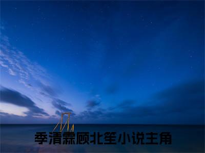 闪婚后，顾总又又又掉马了（季清霖顾北笙）高质量小说免费阅读-主角是闪婚后，顾总又又又掉马了的小说叫什么名字（季清霖顾北笙）