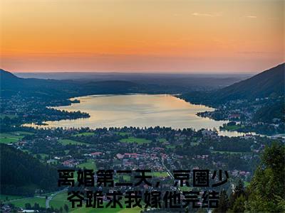 离婚第二天，京圈少爷跪求我嫁他（沈甜甜顾墨迟）全文免费阅读大结局_沈甜甜顾墨迟无弹窗最新章节列表
