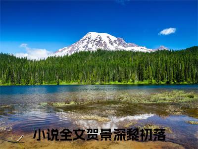 贺景深黎初落全文免费阅读无弹窗大结局-贺景深黎初落(贺景深黎初落小说)最新章节-笔趣阁