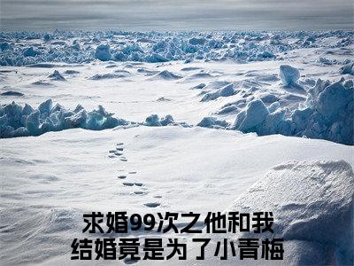 主角是求婚99次之他和我结婚竟是为了小青梅？周逸鸣的小说叫什么名字求婚99次之他和我结婚竟是为了小青梅？周逸鸣-老书虫书荒推荐热点小说（求婚99次之他和我结婚竟是为了小青梅？周逸鸣）