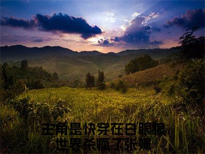 快穿在白眼狼世界杀疯了张姗精选热门小说-快穿在白眼狼世界杀疯了张姗免费全文阅读