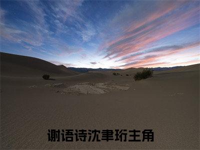 主角叫谢语诗沈聿珩的小说-《谢语诗沈聿珩》谢语诗沈聿珩最新章节在线阅读