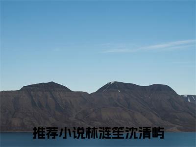 林涟笙沈清屿小说免费阅读无弹窗-林涟笙沈清屿（林涟笙沈清屿）小说免费阅读无弹窗大结局