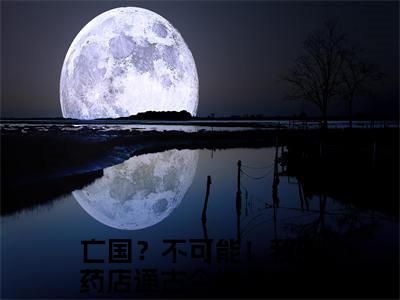 亡国？不可能！我的药店通古今全文免费阅读_（明月晏司城免费阅读无弹窗）亡国？不可能！我的药店通古今最新章节列表笔趣阁