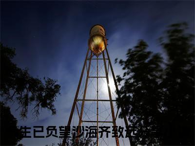 余生已负望沙海齐致远(余生已负望沙海齐致远)全文免费阅读无弹窗大结局_(余生已负望沙海齐致远)小说免费阅读无弹窗最新章节列表_笔趣阁
