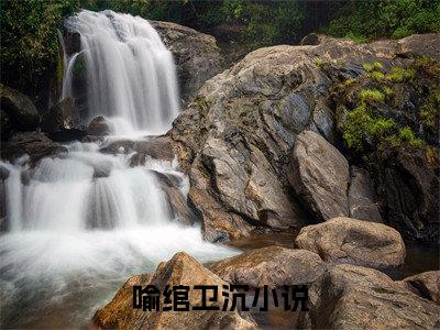 喻绾卫沉全文免费阅读无弹窗大结局_喻绾卫沉(喻绾卫沉)小说结局免费阅读（喻绾卫沉）