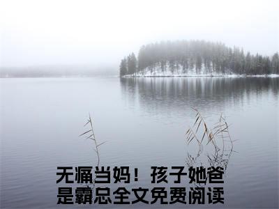 无痛当妈！孩子她爸是霸总全文免费阅读无弹窗大结局，易殊许慕安小说最新章节