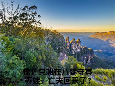 元满全文免费阅读无弹窗大结局_惊！只想在八零守寡养娃，亡夫回来了？最新章节列表_笔趣阁