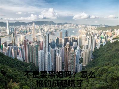 不是要离婚吗？怎么被钓成翘嘴了（傅斯年许妄）全文免费阅读无弹窗大结局_不是要离婚吗？怎么被钓成翘嘴了最新章节列表_笔趣阁