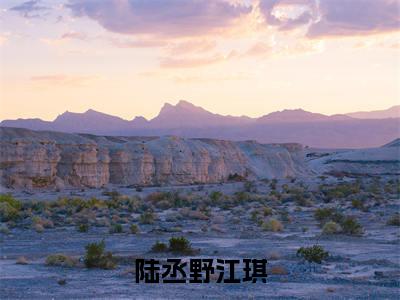 陆丞野江琪全文免费阅读无弹窗大结局_ 陆丞野江琪在线阅读无弹窗
