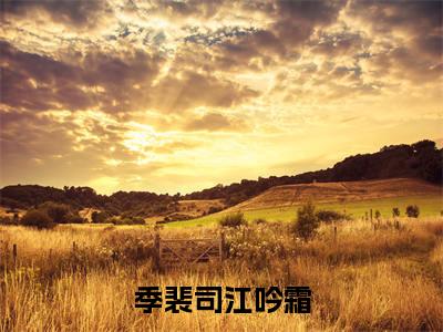 季裴司江吟霜爱消失在海岸在线小说-爱消失在海岸全文无删减版阅读