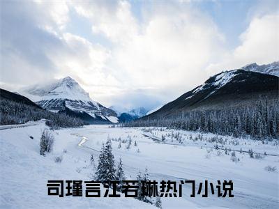 熹微时分不见你（司瑾言江若琳）免费小说-司瑾言江若琳全文在线阅读