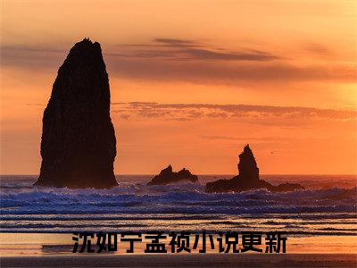 沈如宁孟祯已完结小说全集阅读（我在云边等他归来完整版大结局）沈如宁孟祯小说全文阅读笔趣阁