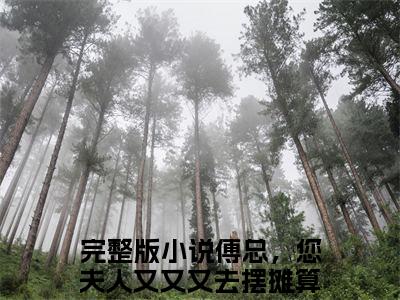 傅京尧林溪小说傅总，您夫人又又又去摆摊算命了（已完结小说全集完整版大结局）傅京尧林溪小说全文阅读笔趣阁