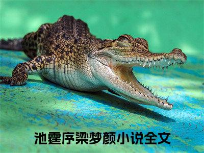 池霆序梁梦颜（池霆序梁梦颜小说全文）在线阅读-池霆序梁梦颜全文免费阅读无弹窗大结局