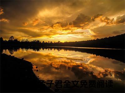 （热推新书）美文摘抄（长风难渡忘相思）主人公为（燕珩之孟子君）的小说长风难渡忘相思大结局全文免费阅读_笔趣阁