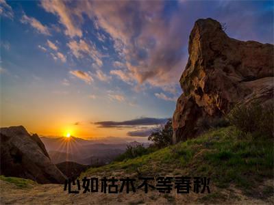 心如枯木不等春秋（完整版）小说推荐-心如枯木不等春秋热文小说沈牧尘叶清音免费阅读全文