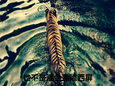 她不是潘金莲潘西屏全文免费阅读-主角为她不是潘金莲潘西屏的小说