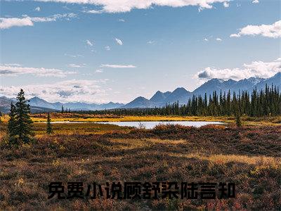 顾舒染陆言知全网首发最新小说-顾舒染陆言知全文在线免费阅读