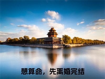 热门小说想算命，先离婚全文免费阅读无弹窗大结局-宋觅司祁承全文无弹窗免费阅读大结局