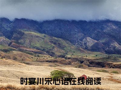 时宴川宋心语（时宴川宋心语小说全文）在线阅读无弹窗大结局-时宴川宋心语全文无删减版阅读