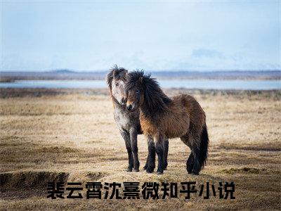 裴云霄沈熹微免费小说全文免费阅读无弹窗大结局_死后才知，我竟是京圈太子白月光完结版在线阅读