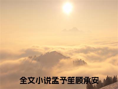 青山不见来时路（孟予笙顾承安）全文免费阅读无弹窗大结局_孟予笙顾承安无弹窗最新章节列表_笔趣阁