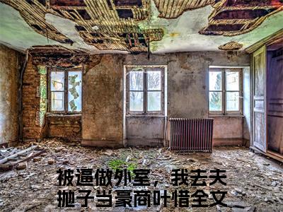 被逼做外室，我去夫抛子当豪商叶惜主角是被逼做外室，我去夫抛子当豪商叶惜全文免费阅读无弹窗-被逼做外室，我去夫抛子当豪商叶惜最新章节列表-笔趣阁