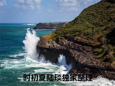 (抖音小说)时初夏陆琰免费阅读时初夏陆琰在线阅读大结局