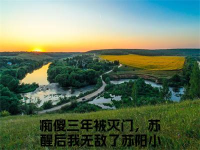 痴傻三年被灭门，苏醒后我无敌了苏阳小说（痴傻三年被灭门，苏醒后我无敌了苏阳）全文免费阅读无弹窗大结局_(痴傻三年被灭门，苏醒后我无敌了苏阳小说)痴傻三年被灭门，苏醒后我无敌了苏阳小说免费阅读无弹窗最新章节列表_笔趣阁（痴傻三年被灭门，苏醒后我无敌了苏阳）