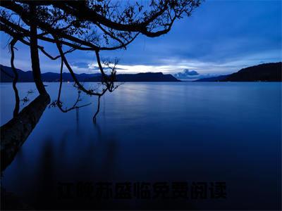 江晚苏盛临人气小说在线阅读，江晚苏盛临正版小说全文阅读