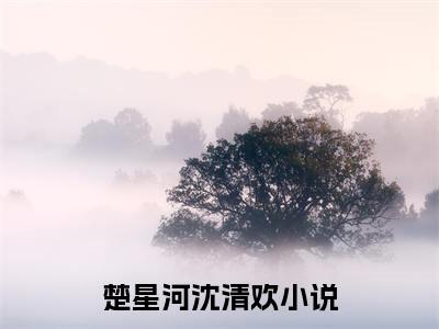 【新书】楚星河沈清欢全文全章节免费阅读-重生九零年代风声水起小说免费阅读无弹窗最新章节列表