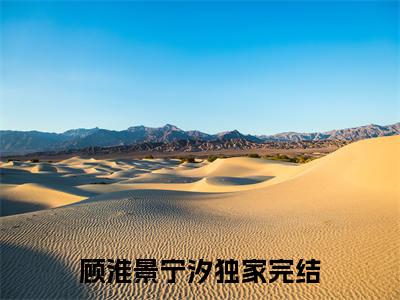 新上热文顾淮景宁汐-顾淮景宁汐在线阅读的小说完整版