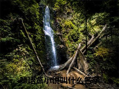 林语鸢全文免费阅读_（披星戴月离开你免费阅读无弹窗）林语鸢最新章节列表笔趣阁