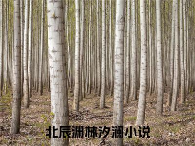 北辰渊林汐澜（神医狂妃一身反骨，摄政王哄诱无度）小说在线阅读_北辰渊林汐澜免费阅读笔趣阁（神医狂妃一身反骨，摄政王哄诱无度）