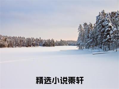 大夏文圣，请诸神赴死（秦轩）全文免费阅读最新章节大结局_大夏文圣，请诸神赴死最新章节列表_笔趣阁