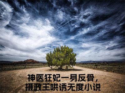 神医狂妃一身反骨，摄政王哄诱无度全文免费阅读无弹窗大结局_（北辰渊林汐澜）免费阅读全文无弹窗