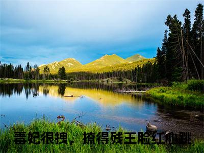 姜梦离闻默寒（毒妃很拽，撩得残王脸红心跳）全文免费阅读无弹窗大结局_（毒妃很拽，撩得残王脸红心跳）姜梦离闻默寒全文免费完结版阅读