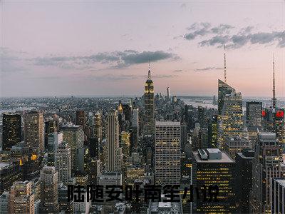 【新书】《陆随安叶南笙》全文免费阅读无弹窗大结局-陆随安叶南笙全章节免费阅读