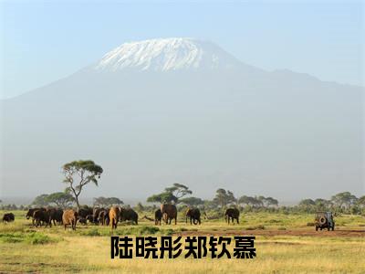 陆晓彤郑钦慕免费小说 陆晓彤郑钦慕在线小说免费阅读目录