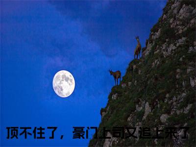 谢景珩江柠（顶不住了，豪门上司又追上来了）全文免费阅读无弹窗大结局_顶不住了，豪门上司又追上来了全文在线阅读